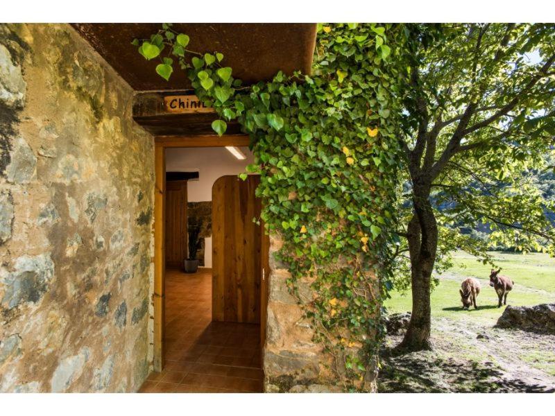 Casas Rurales Molinias Fosado Exterior foto